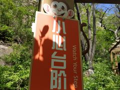 -大岭沟猕猴桃谷风景区