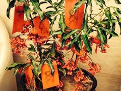 iphone_upload_pic-上海怡沁园度假酒店