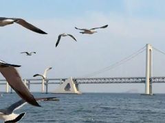 -星海广场