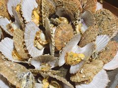 姜汁扇贝-前海沿·青岛菜(大拇指广场石老人店)