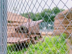 -平湖九龙山旅游度假区