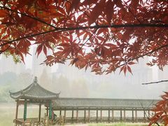 -龙头寺公园