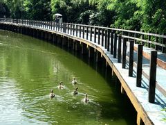-沈阳鸟岛