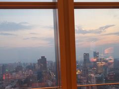 -视界美食自助餐厅·石家庄希尔顿酒店