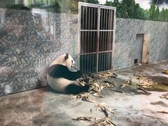 -西安秦岭野生动物园