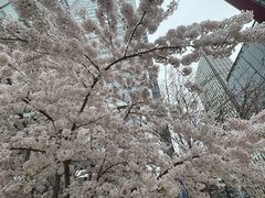 -维多利亚火车站