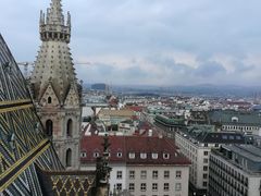 -斯蒂芬主教座堂(Stephansdom)