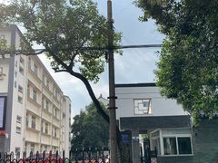 -苏州市平直实验小学校