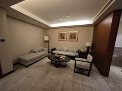 -河源万绿湖美思威尔顿酒店