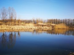 -东郊湿地公园