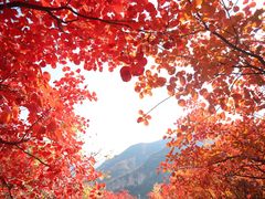 -周口店坡峰岭风景区