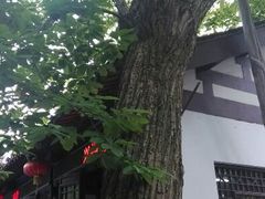 android_upload_pic-兴福老面馆(寺路街店)