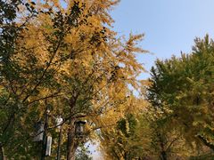 -陶然亭公园