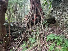 -七仙岭温泉国家森林公园