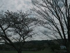 -奈良公园