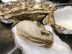 -蚝堡海鲜·威海菜·海肠捞饭·烧烤·亚洲吃蚝公司(幸福门店)