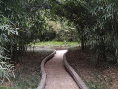 -菊花台公园