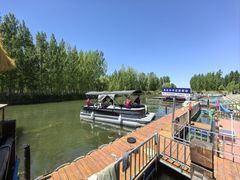 -白洋淀景区