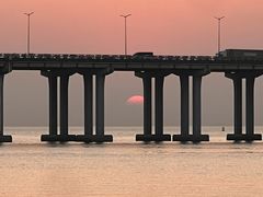 -宝安西湾红树林湿地公园