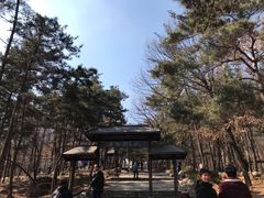 -沂蒙山旅游区云蒙景区(蒙山国家森林公园)