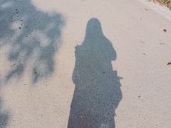 -桤木河湿地公园