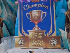 -哈尔滨波塞冬海底世界