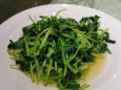 清炒时令蔬菜-金枝玉叶上海人家食府(三里河店)