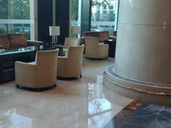 -新都绿城喜来登酒店大堂吧