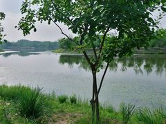 -东郊湿地公园