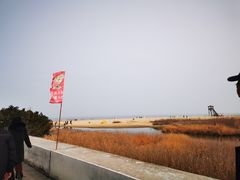 -日照海滨国家森林公园