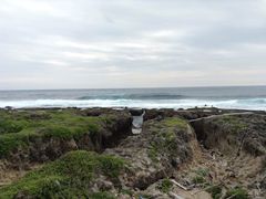 -龙坑生态保护区