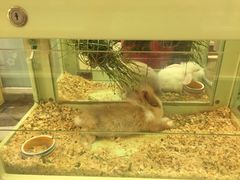 -龙猫仔乐园(惠福东路店)