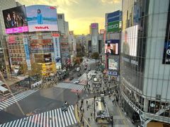 -涩谷全向十字路口