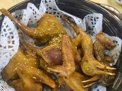 -一煲鸽