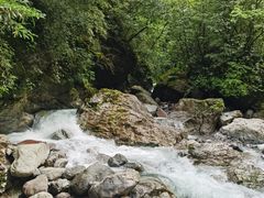 -西岭雪山大飞水景区