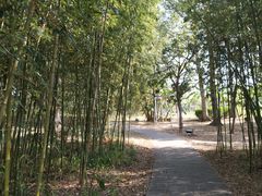 -鲤鱼洲酒店港鲤咖啡厅