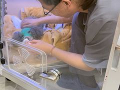-北京派仕佳德动物医院·超导核磁·CT·神经科·骨科·内外科·急重症管理中心
