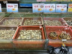 -渔民新村(番禺总店)
