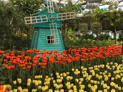 -南宫五洲植物乐园