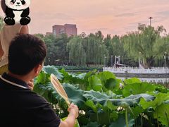 -丰台花园