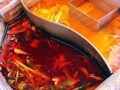 特色麻辣锅-鼎汇丰重庆老火锅(鞍顺园店)