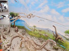 -辽宁古生物博物馆