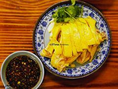 -九斤黄三黄鸡专卖店