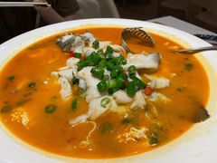 鲜椒豆花鲈鱼-川味堂·四川豆花(八卦岭店)
