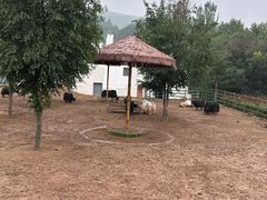 -青藏高原野生动物园