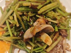 -泰煌鸡·上海白斩鸡·沪菜(平利店)