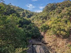 -广州白江湖森林公园