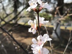 -白塘生态植物园