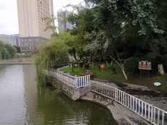 -凤池园