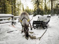 -北极村旅游风景区